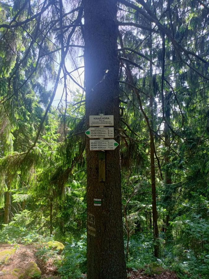 Kopretina Leilighet Cerne Udoli Eksteriør bilde